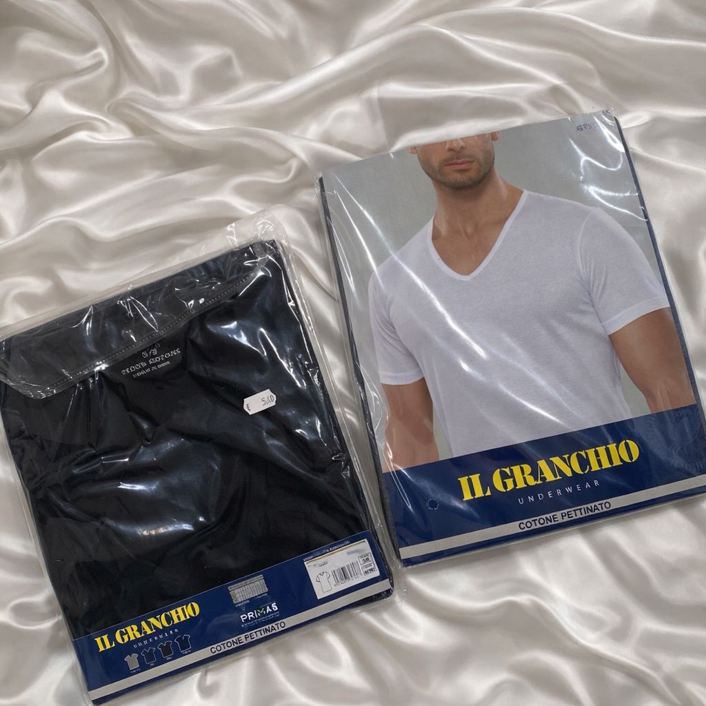 2 T-shirt mezza manica scollo V cotone GT101 Granchio